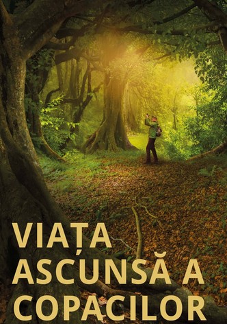 Viața ascunsă a copacilor