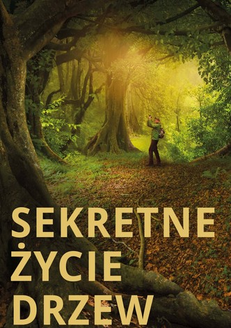 Sekretne życie drzew