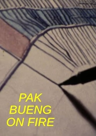 Pak Bueng on Fire