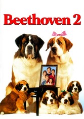 Beethoven 2