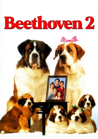 Beethoven 2