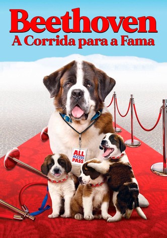 Beethoven: A Corrida para a Fama