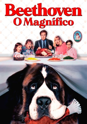 Beethoven: O Magnífico