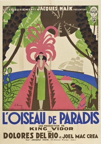 L'oiseau de paradis