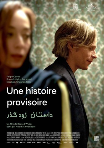 Une histoire provisoire