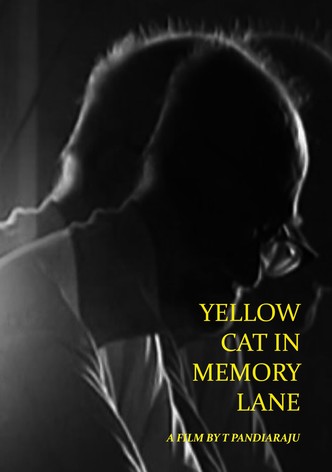 Yellow Cat in Memory Lane