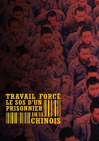 Forced Labour: SOS from a Chinese Prisoner