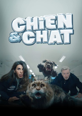 Chien & chat