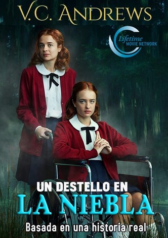 Un destello en la niebla