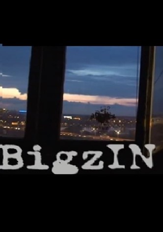 BigzIN