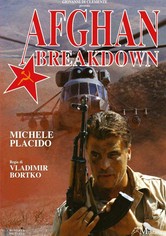 Afghan Breakdown
