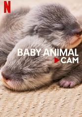 Baby Animal Cam