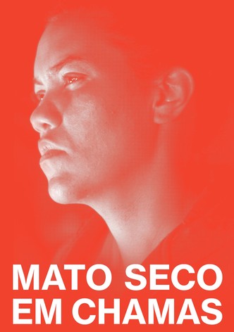 Mato Seco em Chamas