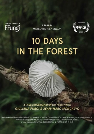 10 Days in the Forest