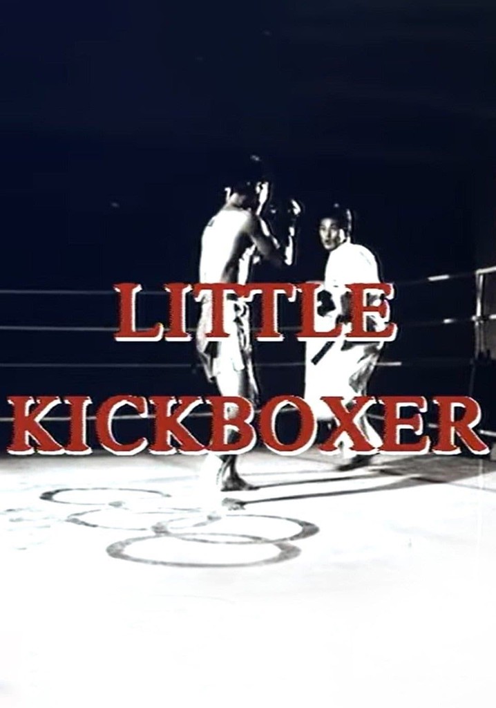 Little Kickboxer