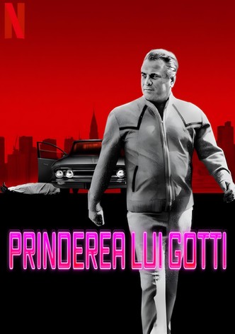 Prinderea lui Gotti