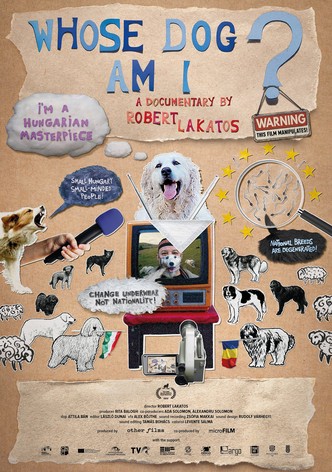 Whose Dog Am I?