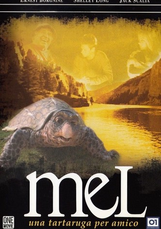 Mel - Una tartaruga per amico