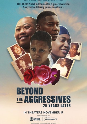 Beyond the Aggressives: 25 Years Later