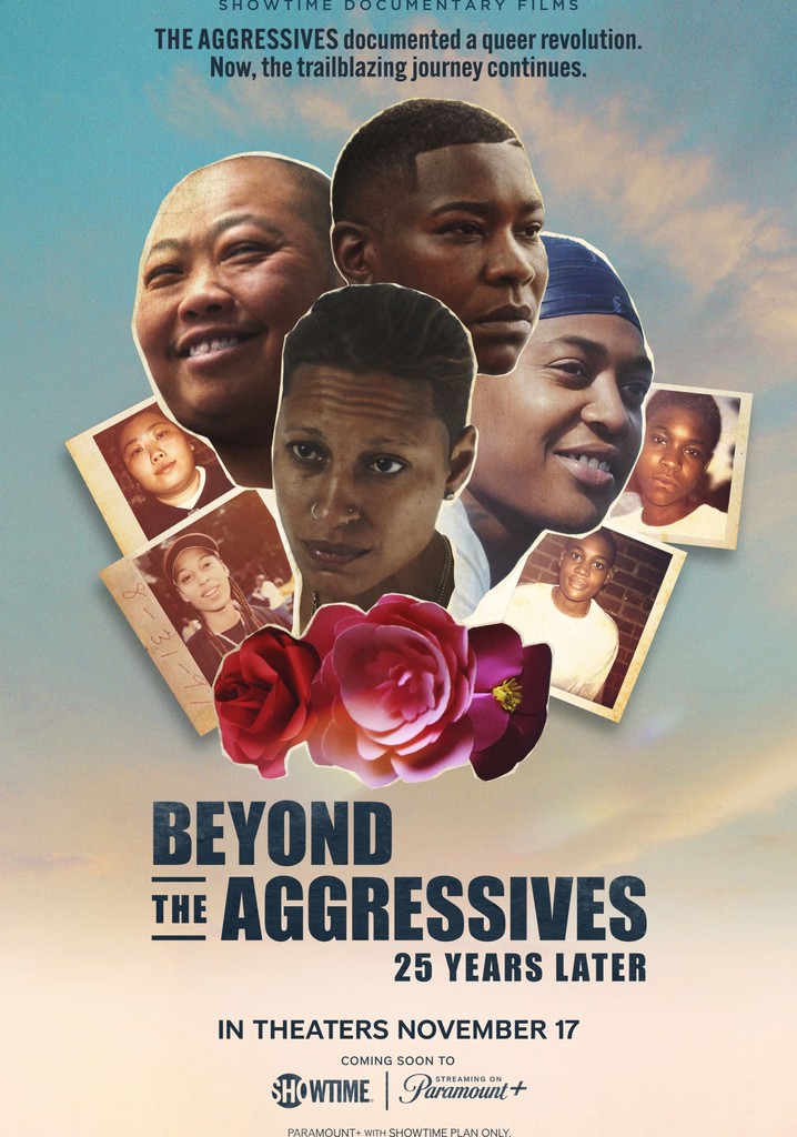 Beyond the Aggressives: 25 Years Later