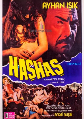 Haşhaş