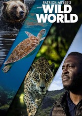 Patrick Aryee's Wild World - Patrick Aryee's Wild World S01
