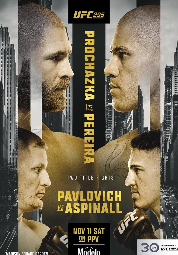UFC 295: Prochazka vs. Pereira