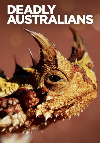 Tödliche Australier - Staffel 1