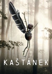 Kaštánek - Řada 2