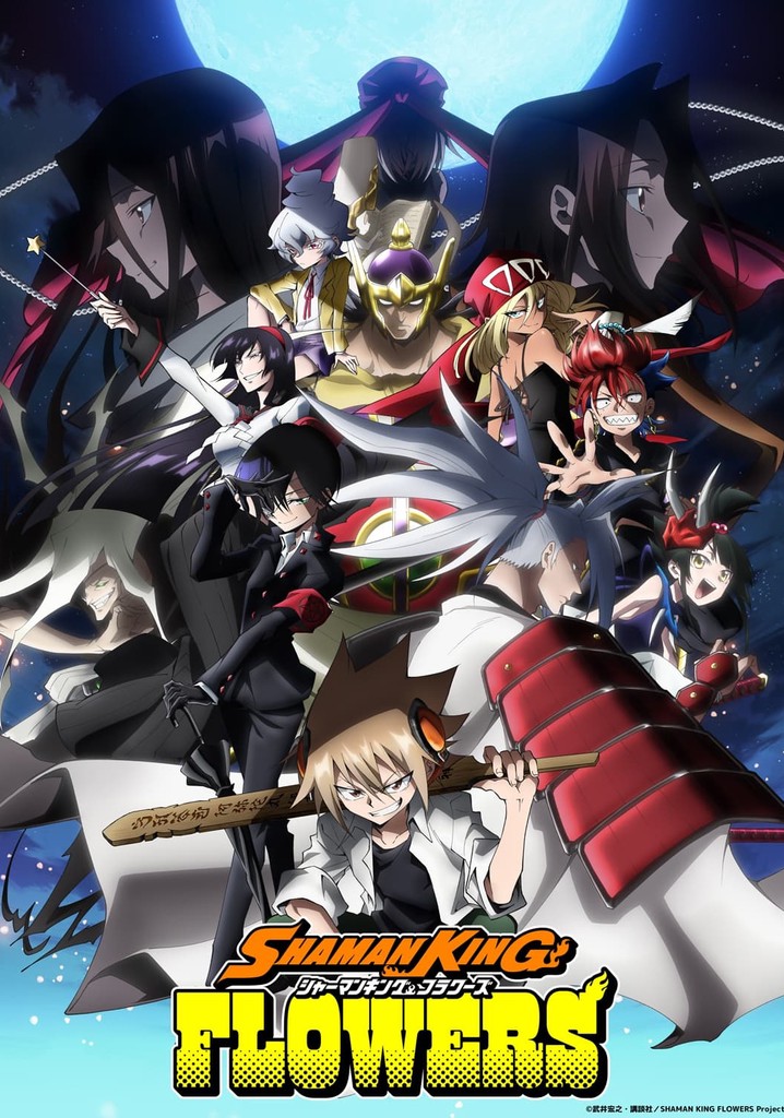 Shaman King: Flowers - Ver la serie de tv online - Where To Watch Shaman King Season 2