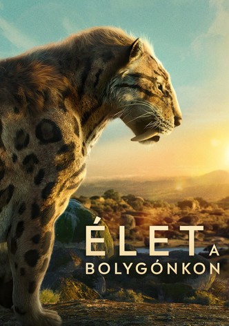 Élet a bolygónkon