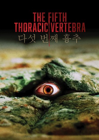 The Fifth Thoracic Vertebra
