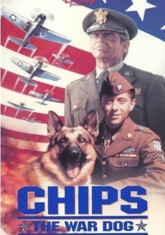 Chips, Chien de Combat