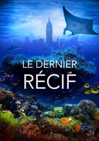 Le dernier récif