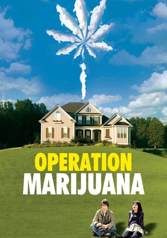 Operation Marijuana