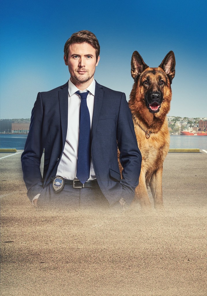 Staffel 6 - Jetzt online Stream anschauen