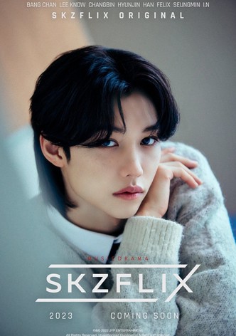 SKZFLIX (樂-STAR)