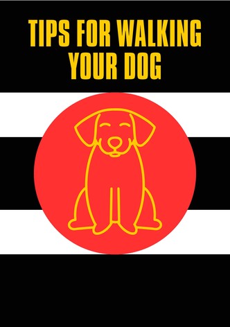 Tips For Walking Your Dog