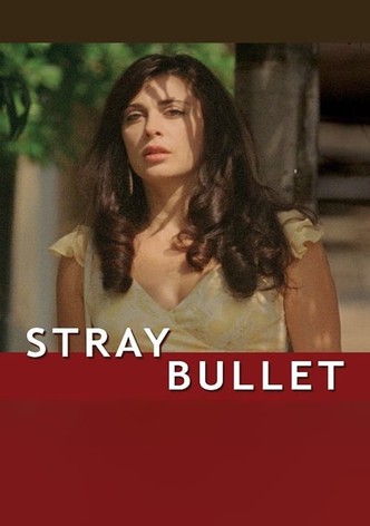 Stray Bullet