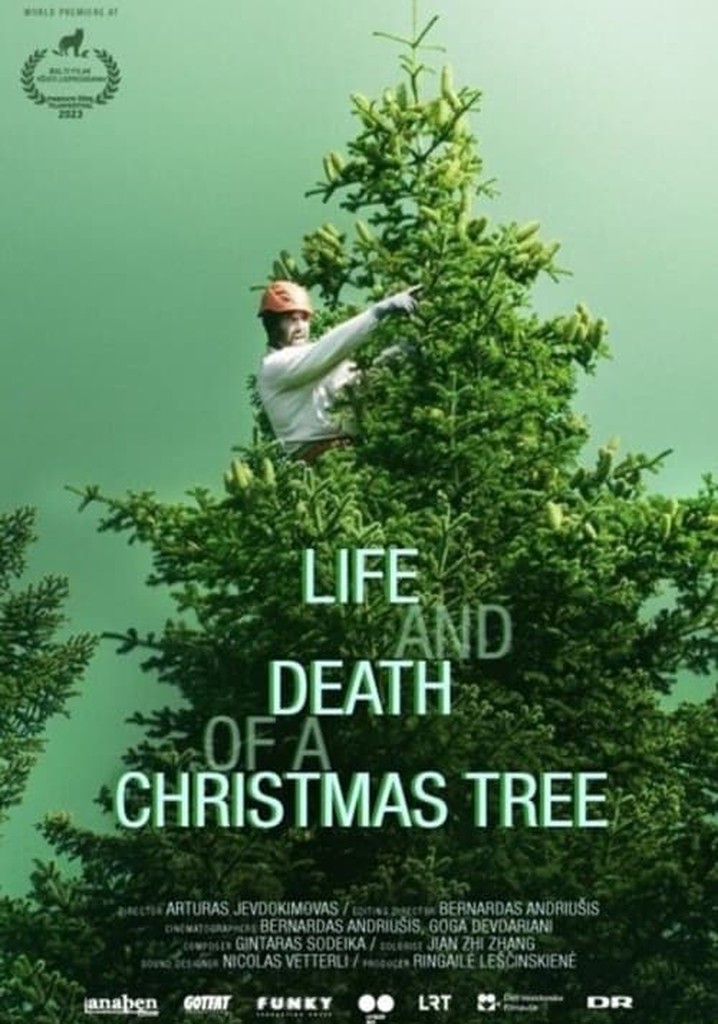 Life and Death of a Christmas Tree
