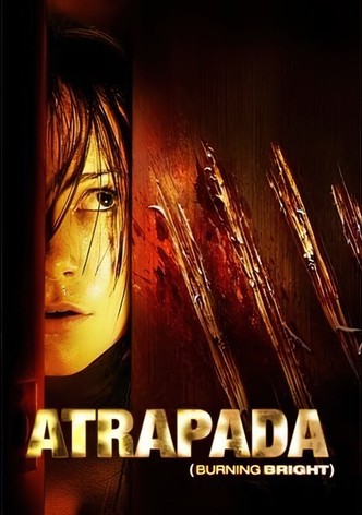 Atrapada