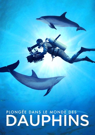 Plongée dans le Monde des Dauphins