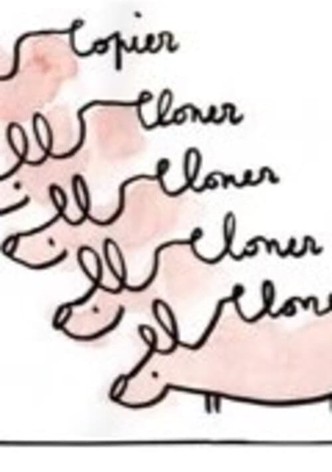 Copier-cloner