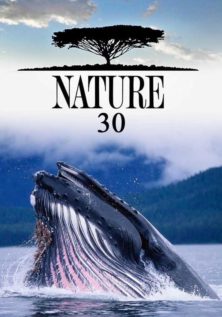 Nature Boy 30 For 30 Watch Online Nature Season 30 - watch full episodes streaming online
