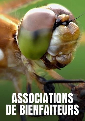 Association de bienfaiteurs