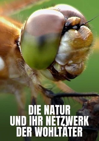 Die Natur und ihr Netzwerk der Wohltäter