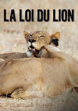 La loi du lion