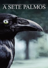 Sete Palmos de Terra