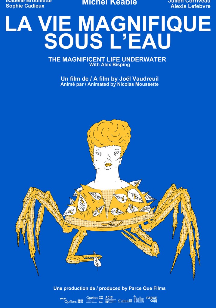 The magnificient life underwater