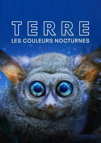 Terre : les couleurs nocturnes